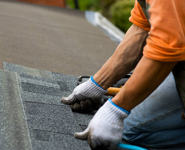 Best Roof Maintenance Services  in Broad Brook, CT